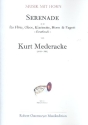 Serenade op.56 fr Flte, Oboe, Klarinette, Horn und Fagott Partitur und stimmen
