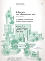 Allegro KV240 fr 2 Flten und 2 Klarinetten Partitur und Stimmen