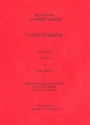 Flute Starlets for 4 flutes