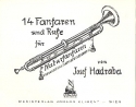 14 Fanfaren und Rufe  fr Naturfanfaren