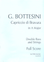 Capriccio di Bravura in A Major for double bass (solo tuning) and strings score and parts