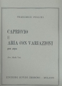 Capriccio e aria con variazioni per arpa