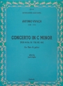 Concerto in c Minor no.19 PIN440 for flute and guitar score and part