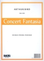 Concert Fantasia fr Orgel