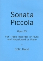 Sonata piccola op.63 for treble recorder (flute) and harpsichord (piano)