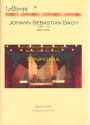 Sinfonia BWV248 aus dem Weihnachtsoratorium fr 6 Flten, Altflte und Bassflte Partitur und Stimmen