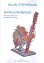 Gnomus Promenade fr Fagott und Klavier