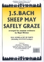 Sheep may safely graze for amateur orchestra score and parts