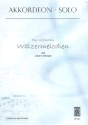 Die schönsten Walzermelodien von Johann Strauß (Medley): für Akkordeon