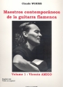 Maestros contemporneos de la guitarra flamenca vol.1 Vicente Amigo (en/sp)