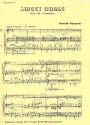 Sweet Bugle für Flügelhorn und Blasorchester Direktion und Stimmen