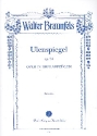 Ulenspiegel op.23 Libretto