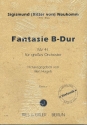Fantasie B-Dur NV41 fr Orchester Partitur