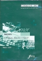 Requiem - Tenor solo Playalong-CD mit Orchesterbegleitung