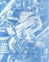 Fantasia for 2 tubas 2 scores