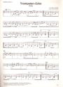 Trompeten-Echo für 1-4 Handharmonikas Handharmonika 3-4