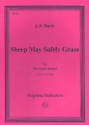 Sheep may safely graze for 7 recorders (SAATTTB) score and parts