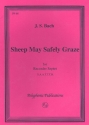 Sheep May Safely Graze for 7 recorders (SAATTTB) score and parts