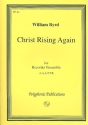 Christ rising again for 6 recorders (ensemble AAATTB) score and parts