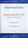 Sonate g-Moll BWV1029 fr Viola da Gamba und Cembalo fr Kontraba und Klavier