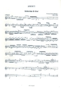 Sinfonie B-dur fr Streichorchester Violine 1