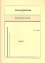 Lof zij de Heer voor orgel