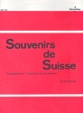Souvenirs de Suisse fr Akkordeon