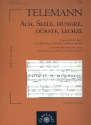 Ach Seele hungre drste lechze fr Alt (Bass), 2 Blockflten (Violinen und Bc) Partitur und Stimmen (Bc ausgesetzt)