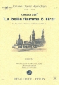 La bella fiamma  Tirsi fr Alt, Theorbe und Bc Spielpartitur