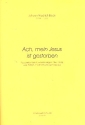 Ach mein Jesus ist gestorben fr gem Chor, 2 Flten, 2 Violinen und Bc Partitur