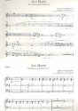 Ave Maria fr Sopran und Orchester Stimmensatz (je 1x inkl. Sopran)