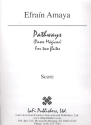 Pathways for 2 flutes score and parts