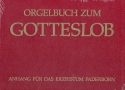 Orgelbuch zum Gotteslob Dizese Paderborn  alte Ausgabe
