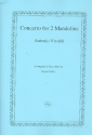 Concerto for 2 Mandolins and Strings for recorder orchestra score and parts