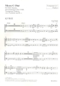 Messe C-Dur fr Sopran, gem Chor, 2 Trompeten, 2 Violinen, Pauken und Bc Harmoniestimmen