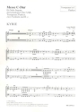 Messe C-Dur fr Sopran, gem Chor, 2 Trompeten, 2 Violinen, Pauken und Bc Harmoniestimmen