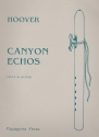 Canyon Echoes for flute and guitar score and flute part