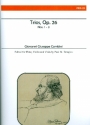 Trios op.26 vol.1 (nos.1-3) for flute, violin and viola score and parts