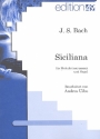 Siciliana fr Melodieinstrument und Orgel