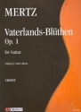 Vaterlands-Blthen op.1 fr Gitarre