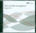 Ruf vor dem Evangelium  Begleit-CD