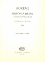 Sinfonia breve in memoriam Mrta Fried for string orchestra score