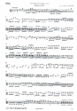Sinfonie C-Dur Nr.4 fr Streicher und Bc (2 Hrner ad lib) Viola
