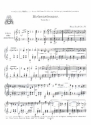Birkenstoana op.178 fr Zither (Akkordeon)