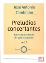 Preludios concertantes Band 2 fr Mandoline