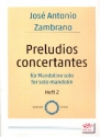 Preludios concertantes Band 2 fr Mandoline