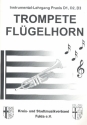 Instrumentallehrgang Praxis D1, D2, D3 fr Trompete (Flgelhorn)