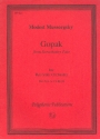 Gopak from Sorochintsy Fair for recorder orchestra (SSAATTB GB) score and parts