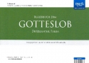 Blserbuch zum Gotteslob (Dizesanteil Fulda)  1. Stimme in B