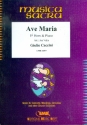 Ave Maria fr Horn in Es und Klavier